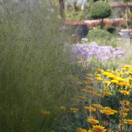 Les Jardins De Santa Giulia - Charmante Dhte 3* Porto-Vecchio (Corsica)