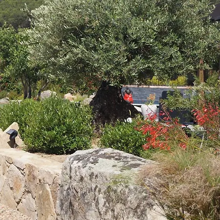 Les Jardins De Santa Giulia - Charmante D'hôte * Porto-Vecchio (Corsica)