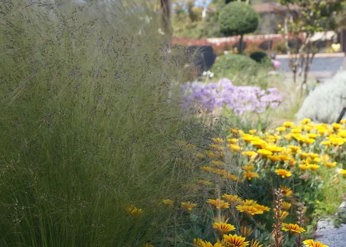 Les Jardins De Santa Giulia - Charmante Dhte 3* Porto-Vecchio (Corsica)