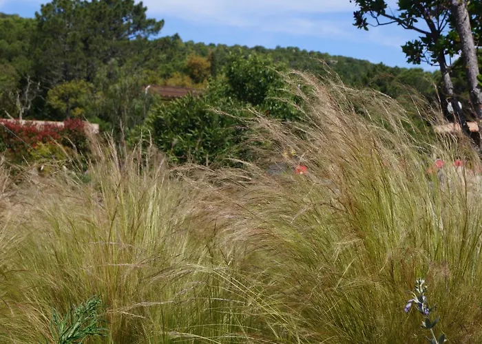 Les Jardins De Santa Giulia - Charmante Dhte Guest house 3*